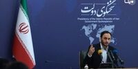 سخنگوی دولت: تا تحلیف می مانم ولی دوست دارم به دانشگاه برگردم