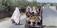 طالبان: وظیفه زن فرزندآوری است/ حضور آنان در دولت ضرورتی ندارد
