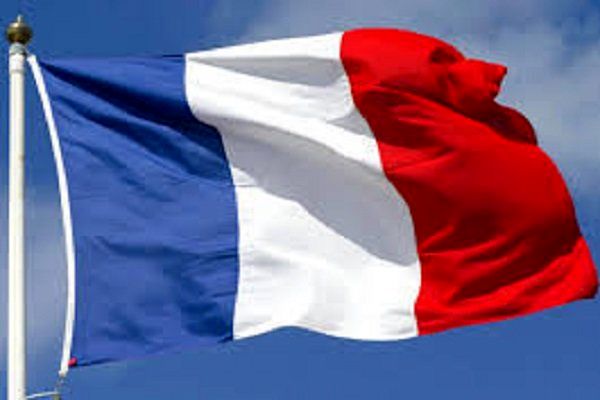 رئیس‌جهور فرانسه طرحش را به کرسی نشاند