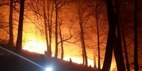 آخرین اخبار از آتش سوزی مهیب در پارک ملی گلستان
