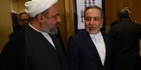 عراقچی در کنار نمایندگان تندرو مجلس/ آقای وزیر به رسایی چه گفت؟+ تصاویر