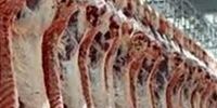 قیمت گوشت گوساله وارداتی تعیین شد 
