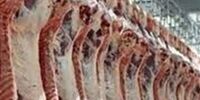 قیمت گوشت گوساله وارداتی تعیین شد 
