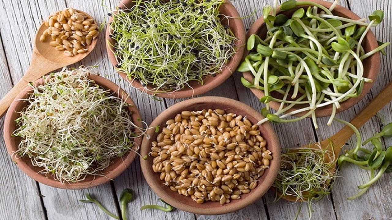 یارانه ۳۰۰ هزار تومانی جوابگوی اصلاح قیمت‌هاست؟