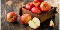 با مصرف این خوراکی‌ها مثل کوره چربی بسوزانید!