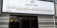 یک انتصاب جدید در سازمان هدفمندسازی یارانه ها 