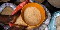قیمت جهانی مواد غذایی رکورد 10 ساله را زد 

