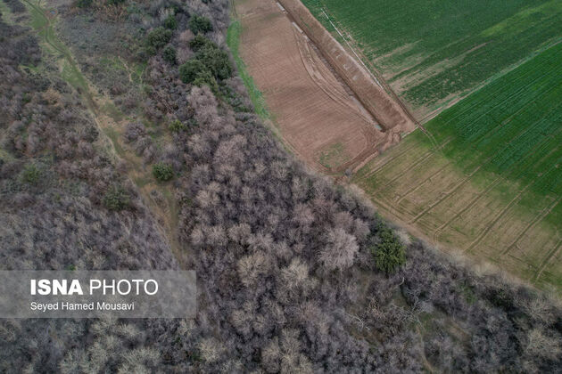 62187128_DJI_0044
