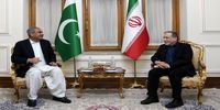 عراقچی به وزیر کشور پاکستان: در عین جدیت برای دیپلماسی، از هیچ اقدامی برای ارتقای آمادگی‌ها جهت دفاع از خود، فروگذار نخواهیم کرد