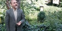 اقتصاد سیاسی رفاه و تامین اجتماعی در ایران