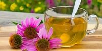 بهترین دمنوش ها برای فصول سرد + اینفو