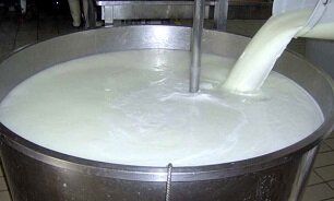 سرنوشت قیمت شیر در دولت جدید/ شیر باز هم گران می شود؟