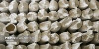 سقف ارزی واردات برخی کالاهای اساسی اعلام شد+ جدول