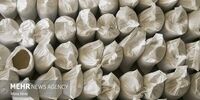 سقف ارزی واردات برخی کالاهای اساسی اعلام شد+ جدول