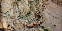 ۴ کولبر در ۲ هفته اخیر کشته شده‌اند/ میانگین سنی آنها ۳۰ سال بود 

