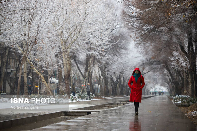 61540551_morteza-zanganeh-1726