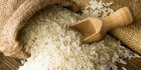 توزیع برنج 3800 تومانی دولتی به مدت 4 ماه