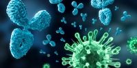 مرگبار ترین ویروسها در کره زمین را بشناسید