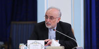 دفاع تمام قد صالحی از عملکرد دولت روحانی در برجام