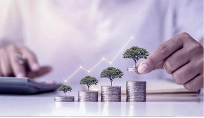 چرا پول‌ها به سمت بازار طلا، ارز و مسکن می‌رود؟ | قنبری: بخش خصوصی باید موتور توسعه باشد | سرمایه گذار به دنبال امنیت اقتصادی است