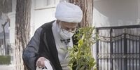 آیت الله جنتی یک اصله نهال کاشت+ عکس