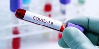 کدام آنتی بادی ها در درمان کووید-۱۹ موثر است؟