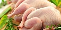 اولین واکنش سازمان دامپزشکی کشور به خبر واردات مرغ آلوده از بلاروس
