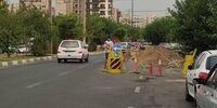 دردسرهای فروش زمینی با کاربری فضای سبز برای اهالی یک منطقه