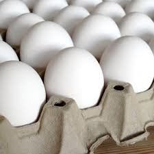 تخم مرغ گران می‌ شود؟