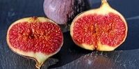 خواص باورنکردنی انجیر که باید بدانید