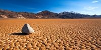 رونق بیابان؛ آغاز شمارش معکوس برای خشکسالی ایران