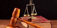 حکم بازداشت امین فردین صادر شد + عکس