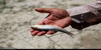 چرا ایران خشک شد؟