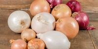 پیاز ارزان شد/ قیمت هر کیلو چند؟
