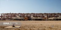 قرارداد فشارافزایی پارس جنوبی باید زودتر ابلاغ و تنفیذ شود 