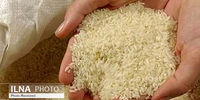 واردات برنج بی کیفیت از هند به جای پول نفت ایران!