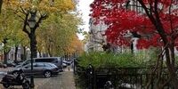 به آتش کشیدن سفارت بلاروس در بروکسل توسط افراد ناشناس 