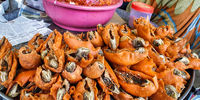 تصاویر خوشمزه از بازار غذا‌های سنتی در کشمیر