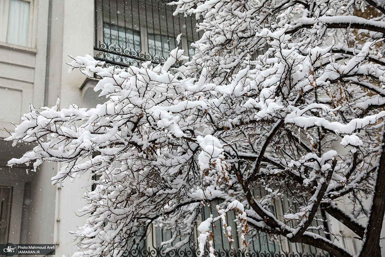 این منطقه از کشور برفی شد + فیلم