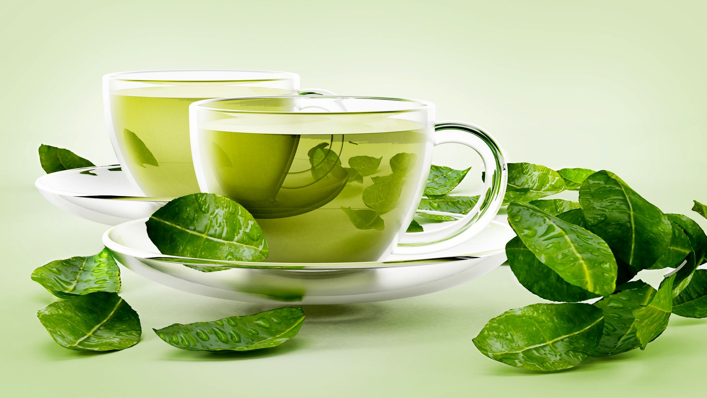  چای سبز در مقابله با ۲ سرطان رایج در مردان و زنان

