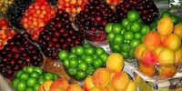 گران‌ترین و ارزان‌ترین میوه‌های تابستانی+جدول قیمت میوه امروز

