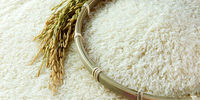 قیمت جدید برنج هندی و پاکستانی اعلام شد

