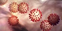 آخرین خبرها از داروهای کمک کننده به درمان کرونا