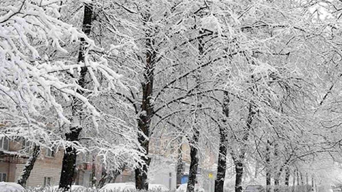 هواشناسی شنبه 23 بهمن 1400 / بارش برف و باران در ۱۵ استان 