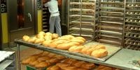 خبر مهم از قیمت نان و یارانه آرد