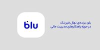 مروری بر خدمات بلو در حوزه مدیریت مالی