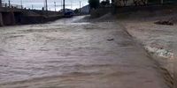  سازمان هواشناسی هشدار داد/ خطر تکرار سیلاب در این استان 