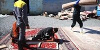 کارگاه قالیشویی