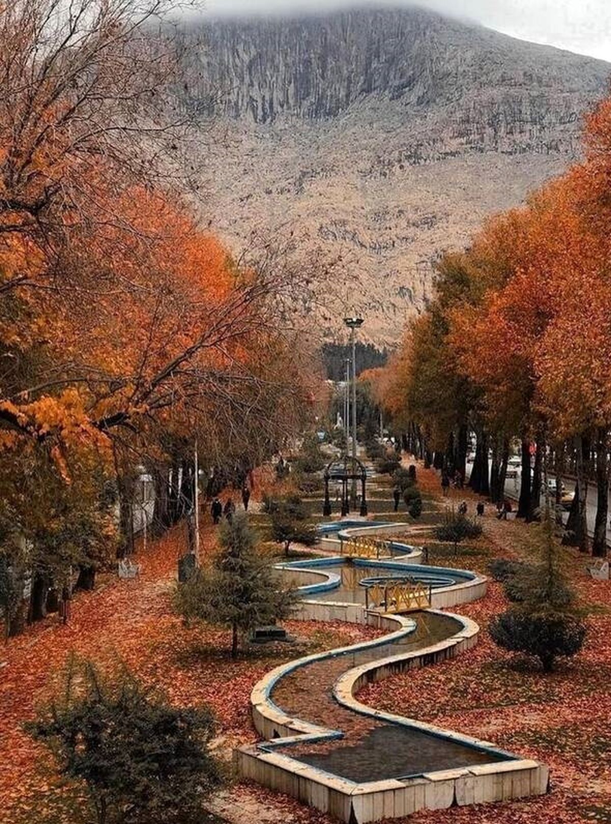 طولانی‌ترین و زیباترین  بلوار جنگلی در ایران+عکس