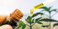 خبری خوش درباره کرونا 